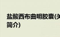 盐酸西布曲明胶囊(关于盐酸西布曲明胶囊的简介)