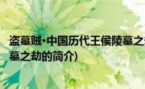 盗墓贼·中国历代王侯陵墓之劫(关于盗墓贼·中国历代王侯陵墓之劫的简介)