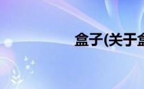 盒子(关于盒子的简介)