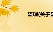 盗理(关于盗理的简介)