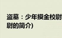 盗墓：少年摸金校尉(关于盗墓：少年摸金校尉的简介)