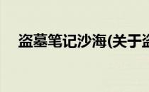 盗墓笔记沙海(关于盗墓笔记沙海的简介)