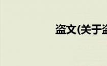 盗文(关于盗文的简介)