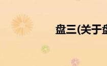 盘三(关于盘三的简介)