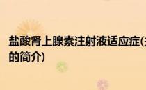 盐酸肾上腺素注射液适应症(关于盐酸肾上腺素注射液适应症的简介)
