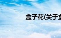 盒子花(关于盒子花的简介)