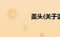 盖头(关于盖头的简介)
