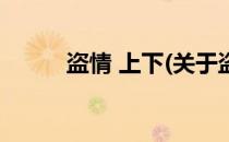盗情 上下(关于盗情 上下的简介)