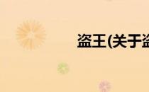 盗王(关于盗王的简介)