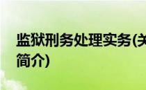 监狱刑务处理实务(关于监狱刑务处理实务的简介)