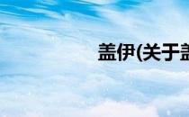 盖伊(关于盖伊的简介)