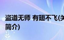 盗道无师 有翅不飞(关于盗道无师 有翅不飞的简介)