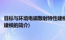 目标与环境电磁散射特性建模(关于目标与环境电磁散射特性建模的简介)