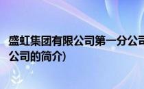 盛虹集团有限公司第一分公司(关于盛虹集团有限公司第一分公司的简介)