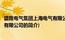 盛隆电气集团上海电气有限公司(关于盛隆电气集团上海电气有限公司的简介)