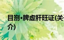 目劄·脾虚肝旺证(关于目劄·脾虚肝旺证的简介)