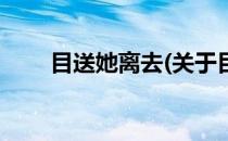 目送她离去(关于目送她离去的简介)