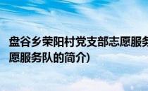 盘谷乡荣阳村党支部志愿服务队(关于盘谷乡荣阳村党支部志愿服务队的简介)
