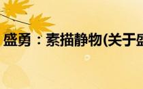 盛勇：素描静物(关于盛勇：素描静物的简介)