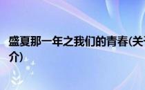 盛夏那一年之我们的青春(关于盛夏那一年之我们的青春的简介)