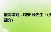 盛宠法则：吻安 顾先生！(关于盛宠法则：吻安 顾先生！的简介)