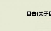 目击(关于目击的简介)