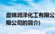 盘锦润泽化工有限公司(关于盘锦润泽化工有限公司的简介)