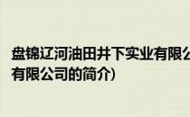 盘锦辽河油田井下实业有限公司(关于盘锦辽河油田井下实业有限公司的简介)