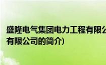 盛隆电气集团电力工程有限公司(关于盛隆电气集团电力工程有限公司的简介)