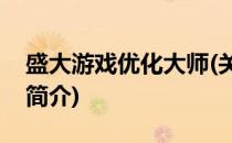盛大游戏优化大师(关于盛大游戏优化大师的简介)