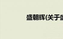 盛朝辉(关于盛朝辉的简介)