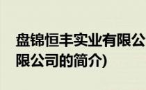 盘锦恒丰实业有限公司(关于盘锦恒丰实业有限公司的简介)