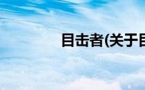 目击者(关于目击者的简介)