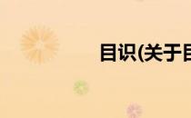 目识(关于目识的简介)