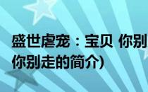 盛世虐宠：宝贝 你别走(关于盛世虐宠：宝贝 你别走的简介)