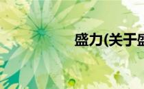 盛力(关于盛力的简介)