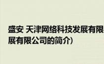 盛安 天津网络科技发展有限公司(关于盛安 天津网络科技发展有限公司的简介)