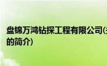 盘锦万鸿钻探工程有限公司(关于盘锦万鸿钻探工程有限公司的简介)