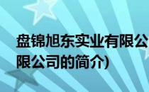 盘锦旭东实业有限公司(关于盘锦旭东实业有限公司的简介)