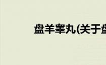 盘羊睾丸(关于盘羊睾丸的简介)