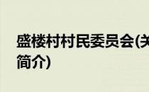 盛楼村村民委员会(关于盛楼村村民委员会的简介)