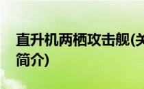 直升机两栖攻击舰(关于直升机两栖攻击舰的简介)