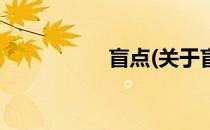盲点(关于盲点的简介)