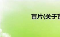 盲片(关于盲片的简介)