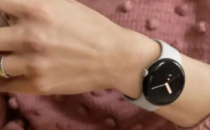 PixelWatch泄漏确认极厚的边框和Fitbit应用程序