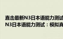 直击最新N3日本语能力测试：模拟真题强练(关于直击最新N3日本语能力测试：模拟真题强练的简介)