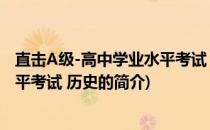 直击A级-高中学业水平考试 历史(关于直击A级-高中学业水平考试 历史的简介)