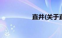 直井(关于直井的简介)