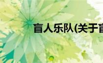 盲人乐队(关于盲人乐队的简介)