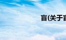 盲(关于盲的简介)